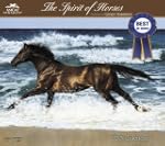 2013 Lesley Harrison  The Spirit of H...