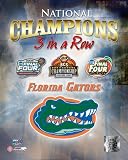 Florida Gators , 8x10