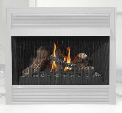 Napoleon GD-565-1KT Gas Fireplace Safety Screen for Napoleon Fireplaces