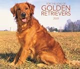 Golden Retrievers, For the Love of 2009 Deluxe Wall Calendar (Multilingual Edition)