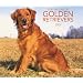 Golden Retrievers, For the Love of 2009 Deluxe Wall Calendar (Multilingual Edition)