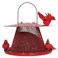 No C00322 Red Cardinal