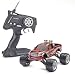 Carson 407022 - Mini Devil 4 WD RTR