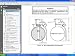 Gernades And Pyrotechnic Signals (U.S. Army Field Manual, FM 3-23-30)
