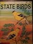 State Birds: An Educational Coloring Book