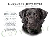 Black Labrador Retriever Human Trainer Mouse Pad Dog Mousepad