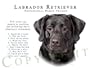 Labrador Retriever BLACK "Human Trainer" Mouse Pad Dog Mousepad