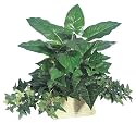 15 Inch Calla Lily Leaf-Pothos-Ivy Bush in a Foam Pot - Qty of 12