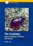 The Carabidae (ground beetles) of Britain and Ireland