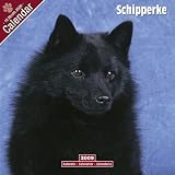 Eigenschaften Avonside Publishing Ltd.  / Kalender 2009 Schipperke - kleiner Bootsmann
