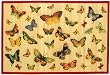 Laser Printed Split Bamboo Butterflies 3' x 5' Veranda Rug