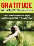 Gratitude: Whats Right Is Always Available - How To Overcome Fear, Anger And Negativity With A Grateful Mind
