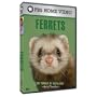 The Pursuit of Excellence: Ferrets