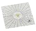 Caspari Spider Web Paper Lunch Napkin Package, Black with Yellow Spider