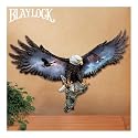 Silent Sentinel Collectible Bald Eagle Wall Sculpture by The Bradford Exchange