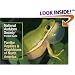 National Audubon Society Pocket Guide to Familiar Reptiles and Amphibians (Audubon Pocket Guides)
