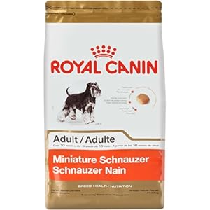 Royal Canin Miniature Schnauzer Dry Dog Food, 10-Pound Bag