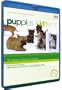 Puppies & Kittens [Blu-ray]
