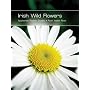 Irish Wild Flowers (Appletree Pocket Guide)