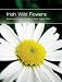 Book Irish Wild Flowers (Appletree Pocket Guide)
