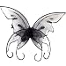 Black Butterfly Wings Adult (One Size)
