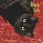 Black Cats 2010 Square Wall (Multilingual Edition)