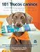 Ciento 1 trucos caninos (Animales De Compania/ Companion Animals) (Spanish Edition)
