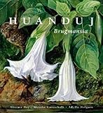 Huanduj : Brugmansia