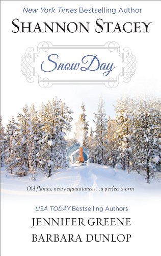 Snow Day: Heart of the Storm/Seeing Red/Land's End (Harlequin Anthologies)