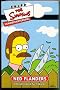 Charakterdeck Ned Flanders