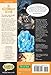 A Christmas Carol The Graphic Novel: Original Text (Classical Comics)
