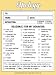 Humorous Apology Note Pad - 50 sheets