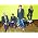 Thumbnail image of Duran Duran
