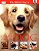 Caring for Your Dog