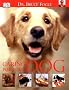 Caring for Your Dog