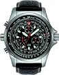 Torgoen Swiss Professional Pilot Watch -T1.04.02.S02