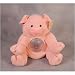 Small Pig Plush Coin Bank