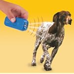 Pet Zoom