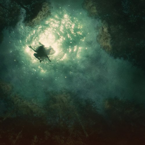 Album Art for Companion by Braids