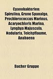 Cyanobakterien: Spirulina, Grne Spanalge, Prochlorococcus Marinus, Acaryochloris Marina, Lyngbya Majuscula, Nodularia, Teichpflaume, A