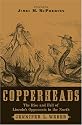 Copperheads: The Rise and Fall of Lincoln's Opponents in the North