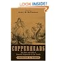 Copperheads: The Rise and Fall of Lincoln's Opponents in the North