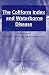 Coliform Index and Waterborne Disease