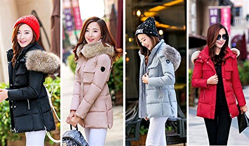 【PALERO・パレロ】 選べる４色 レディース 冬 お洒落 防寒 きれいめダウン ビッグファー ダウンジャケット ３サイズ