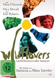 Produkt-Bild: Wildflowers