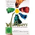 Wildflowers