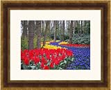 Picture Frame Gold w/ Burgundy .. 2'' wide