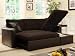 Adjustable Sectional Sofa Bed with Storage Chase