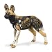 Safari Wildlife African Wild Dog