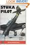 Stuka Pilot (War and Warrior)